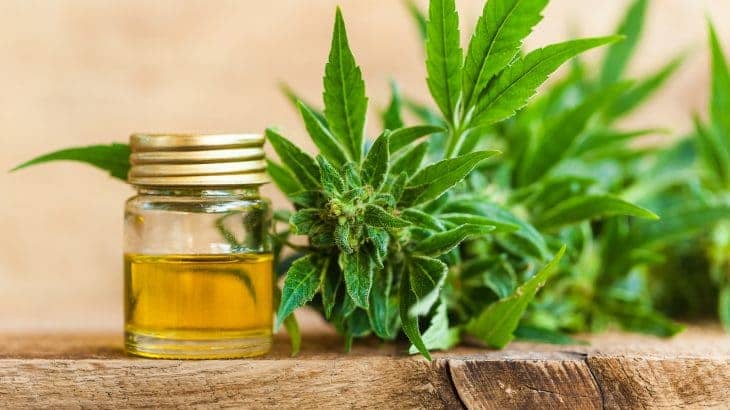 CBD olaj