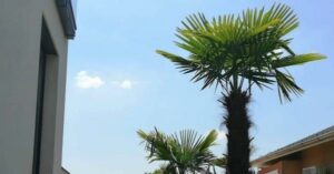 kertépítés budapest