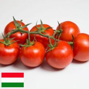 zöldség kiszállítás